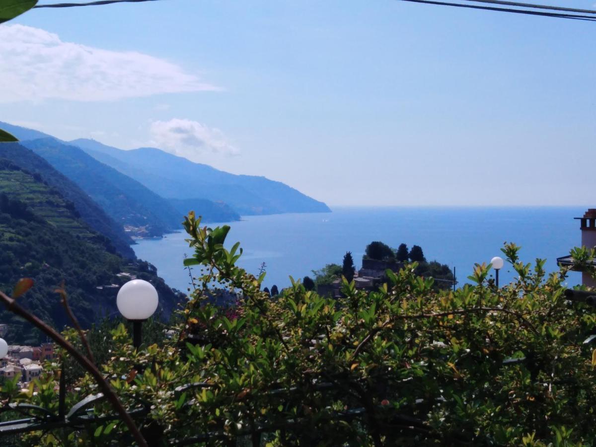 La Cabana Cinque Terre Monterosso 몬테로소 알 마레 외부 사진