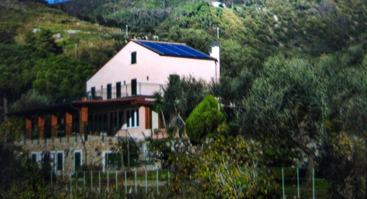 La Cabana Cinque Terre Monterosso 몬테로소 알 마레 외부 사진
